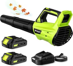 Leaf Blower Cordless, Leaf Blower with Battery and Charger - 2 Speed Modes, 2 Batteries, 20V Powerful Lightweight Electric Blowers for Blowing Leaves, Dust, Lawn Care, Patio Cleaning, Green